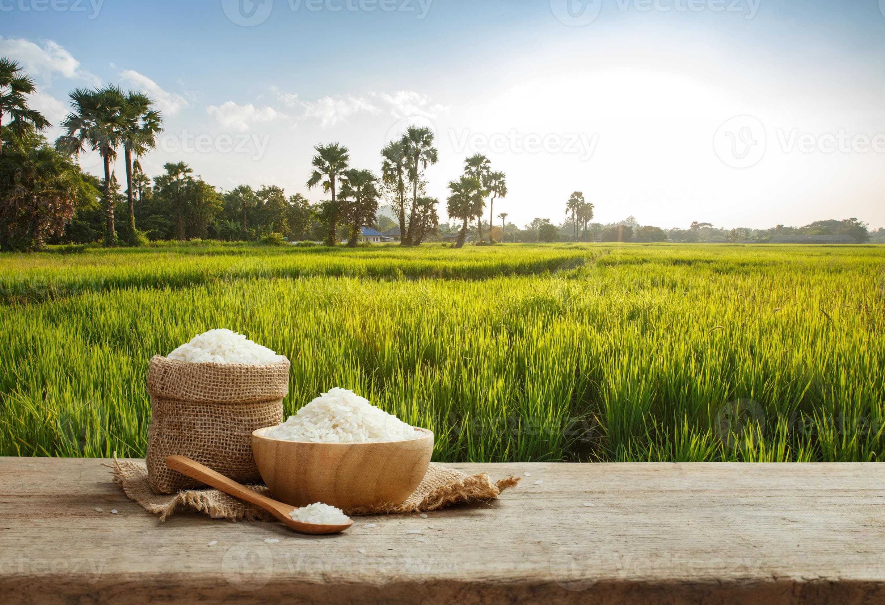 Varieties Rice (বিভিন্ন ধরণের চাল বা চাউল )